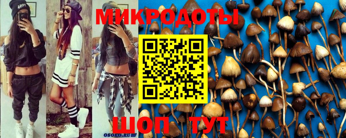 Галлюциногенные грибы прущие грибы Кольчугино