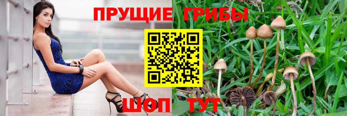 Галлюциногенные грибы мухоморы  Вход с VPN  Кольчугино 