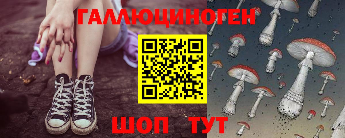 Гашиш Кольчугино
